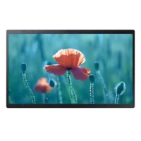 SAMSUNG QM 43C